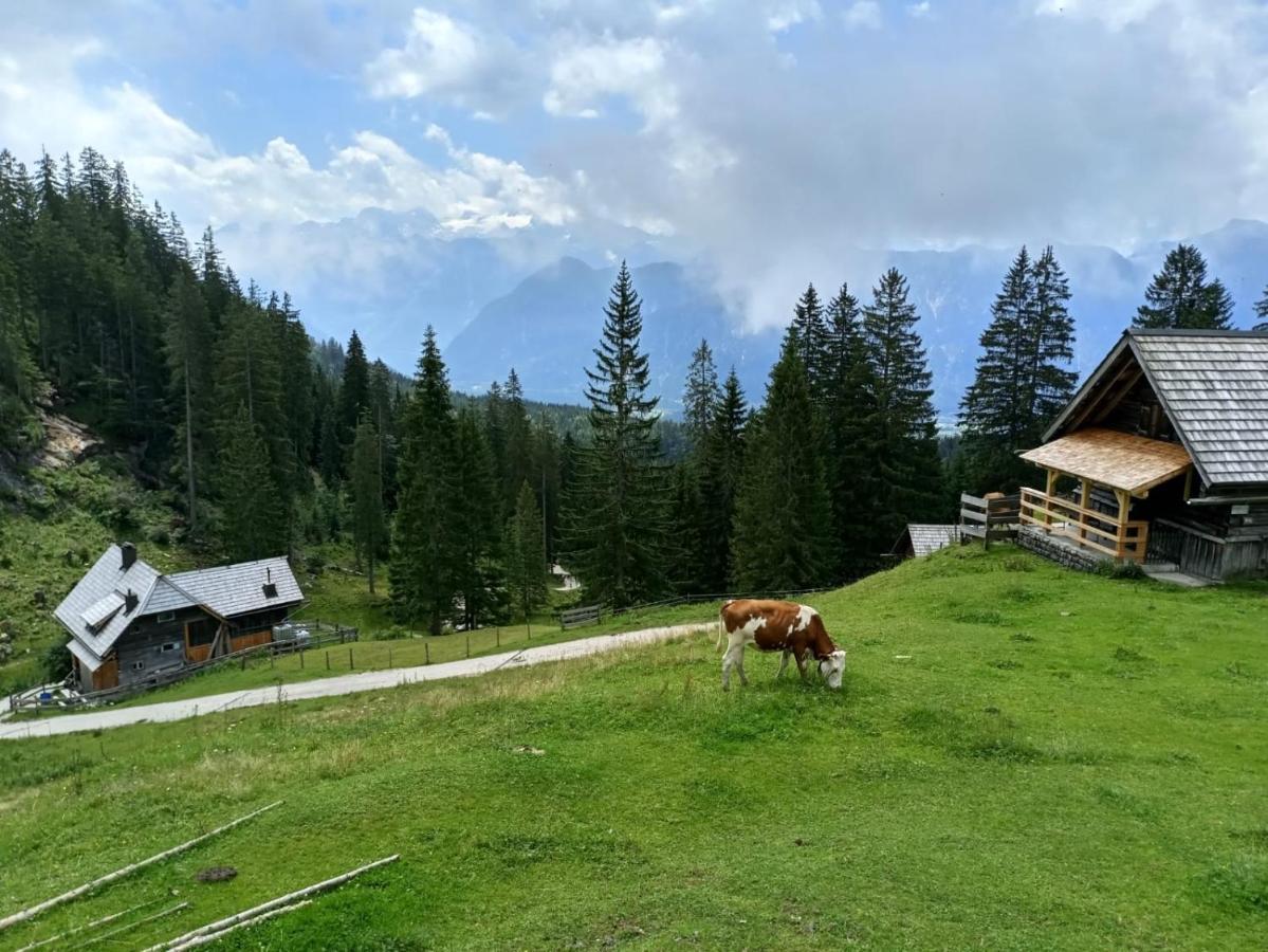 Apartmenthaus Hinterer Bad Goisern Exterior foto